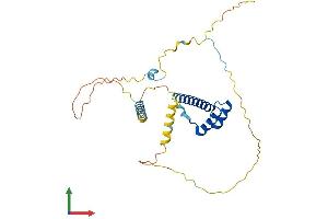 AlphaFold protein structure predicition of Human Recombinant LBX1 Protein, UniprotID P52954