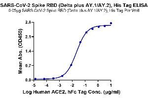 Immobilized SARS-CoV-2 Spike RBD, His Tag (Delta plus AY.