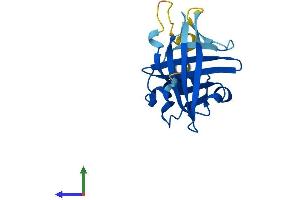 AlphaFold protein structure predicition of Mouse Recombinant Apom Protein, UniprotID Q9Z1R3