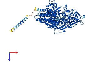 AlphaFold protein structure predicition of Human Recombinant NAALAD2 Protein, UniprotID Q9Y3Q0