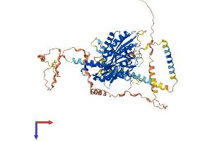 AlphaFold protein structure predicition of Mouse Recombinant Kif12 Protein, UniprotID Q9D2Z8