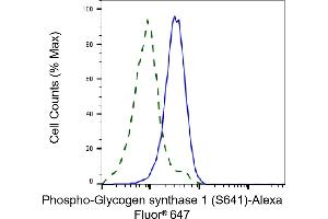 Validation of Glycogen synthase 1 knockdown using flow cytometry. (Recombinant Glycogen Synthase 1 anticorps  (pSer641))