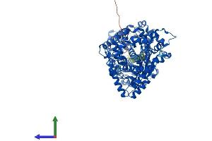 AlphaFold protein structure predicition of Human Recombinant PHEX Protein, UniprotID P78562