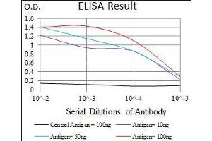 Black line: Control Antigen (100 ng), Purple line: Antigen(10 ng), Blue line: Antigen (50 ng), Red line: Antigen (100 ng),