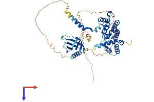 AlphaFold protein structure predicition of Human Recombinant ARHGAP15 Protein, UniprotID Q53QZ3