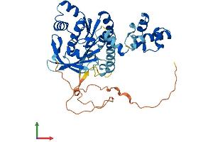 AlphaFold protein structure predicition of Human Recombinant RAD51B Protein, UniprotID O15315