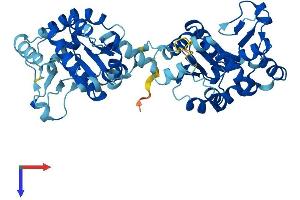 AlphaFold protein structure predicition of Human Recombinant AK8 Protein, UniprotID Q96MA6