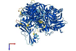 AlphaFold protein structure predicition of Human Recombinant PFAS Protein, UniprotID O15067