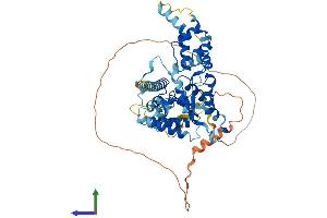 AlphaFold protein structure predicition of Mouse Recombinant Katnal2 Protein, UniprotID Q9D3R6