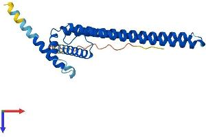 AlphaFold protein structure predicition of Human Recombinant DGCR6L Protein, UniprotID Q9BY27