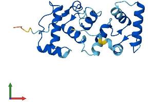 AlphaFold protein structure predicition of Human Recombinant CIB2 Protein, UniprotID O75838