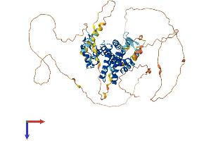 AlphaFold protein structure predicition of Human Recombinant NR1D1 Protein, UniprotID P20393