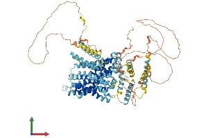 AlphaFold protein structure predicition of Human Recombinant SLC9A1 Protein, UniprotID P19634