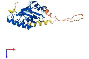 AlphaFold protein structure predicition of Human Recombinant UBE2S Protein, UniprotID Q16763