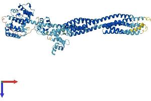 AlphaFold protein structure predicition of Mouse Recombinant Actn3 Protein, UniprotID O88990