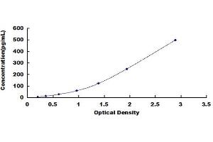 Chemokine (C-C Motif) Ligand 20 (CCL20) ELISA Kit
