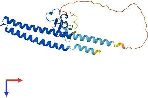 AlphaFold protein structure predicition of Mouse Recombinant Ing5 Protein, UniprotID Q9D8Y8