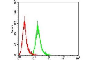 Flow cytometric analysis of HepG2 cells using ALB mouse mAb (green) and negative control (red).