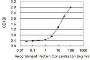 PSMD9 (Human) Matched Antibody Pair