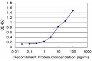 Detection limit for recombinant GST tagged HOXA5 is approximately 0. (HOXA5 anticorps  (AA 171-270))