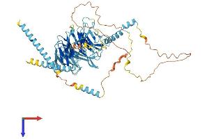 AlphaFold protein structure predicition of Mouse Recombinant Dync1i1 Protein, UniprotID O88485
