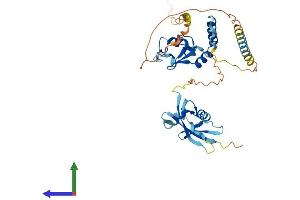 AlphaFold protein structure predicition of Mouse Recombinant Pcgf6 Protein, UniprotID Q99NA9