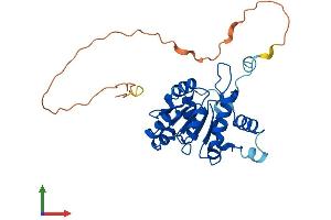 AlphaFold protein structure predicition of Human Recombinant CMSS1 Protein, UniprotID Q9BQ75