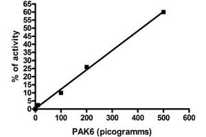 Analysis of enzymatic activity was performed according to the Zlyte assay protocol (Invitrogen): 1. (PAK6 Protein (AA 385-680))