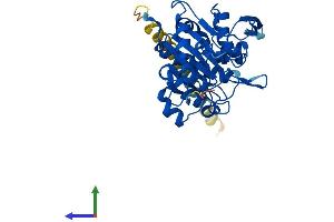 AlphaFold protein structure predicition of Mouse Recombinant Mfng Protein, UniprotID O09008