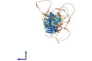 AlphaFold protein structure predicition of Human Recombinant SCAP Protein, UniprotID Q12770