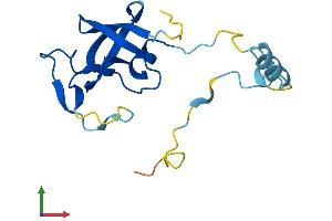 AlphaFold protein structure predicition of Human Recombinant ERVK-21 Protein, UniprotID P63119
