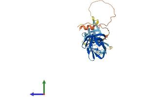 AlphaFold protein structure predicition of Human Recombinant CT55 Protein, UniprotID Q8WUE5