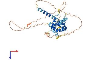 AlphaFold protein structure predicition of Human Recombinant BCL2L14 Protein, UniprotID Q9BZR8