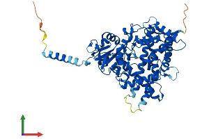 AlphaFold protein structure predicition of Mouse Recombinant Cyp1a1 Protein, UniprotID P00184