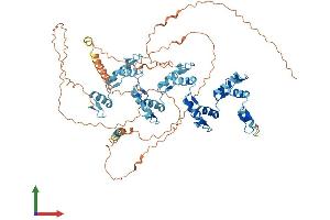 AlphaFold protein structure predicition of Human Recombinant ZNF180 Protein, UniprotID Q9UJW8