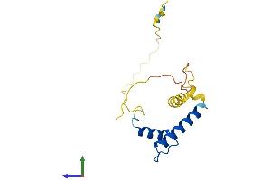 AlphaFold protein structure predicition of Mouse Recombinant Id2 Protein, UniprotID P41136