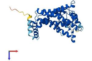 AlphaFold protein structure predicition of Mouse Recombinant Msmo1 Protein, UniprotID Q9CRA4