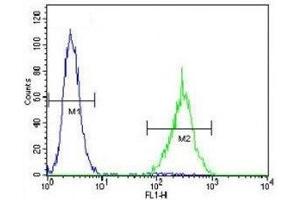 SOX1 antibody flow cytometric analysis of NCI-H460 cells (right histogram) compared to a negative control (left histogram).