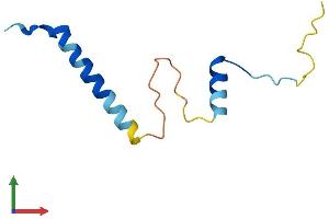 AlphaFold protein structure predicition of Human Recombinant CDC26 Protein, UniprotID Q8NHZ8