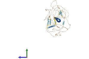 AlphaFold protein structure predicition of Mouse Recombinant Ccdc14 Protein, UniprotID Q8K2J4