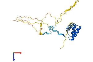 AlphaFold protein structure predicition of Human Recombinant GSC2 Protein, UniprotID O15499