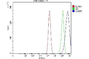 Flow Cytometry analysis of Caco-2 cells using anti-Caspase-9/CASP9 antibody (ABIN7601974). (Caspase 9 anticorps  (AA 53-268))