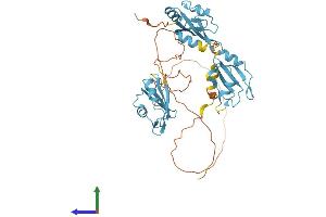 AlphaFold protein structure predicition of Mouse Recombinant Hnrnpf Protein, UniprotID Q9Z2X1