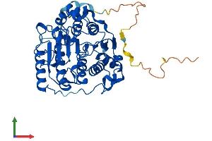 AlphaFold protein structure predicition of Human Recombinant HDAC3 Protein, UniprotID O15379