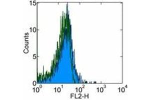 Image no. 1 for anti-CD209 (CD209) antibody (PE) (ABIN473733)