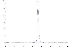 The purity of Biotinylated Human CD45/PTPRC is greater than 95 % as determined by SEC-HPLC.