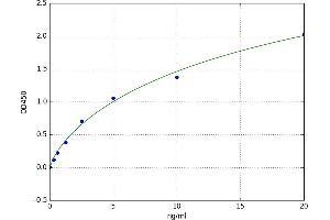 Flavin Reductase (BLVRB) ELISA Kit