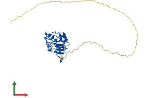 AlphaFold protein structure predicition of Mouse Recombinant Anp32a Protein, UniprotID O35381