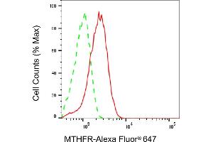Flow cytometric analysis of MTHFR expression in HeLa cells using MTHFR antibody (ABIN7799391), 1:2,000).