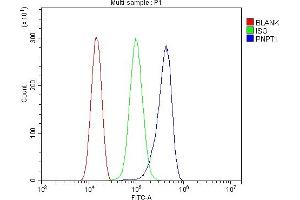 Flow Cytometry analysis of THP-1 cells using anti-PNPT1 antibody (ABIN7599172).